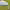 https://res.cloudinary.com/billionhands/image/upload/v1775197597/items/iihvx3mnmgygq4ykm3lt.jpg-0cover