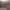 https://res.cloudinary.com/billionhands/image/upload/v1775197637/items/rk5amnnqdiw0xzzn0yxz.jpg-0cover