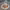 https://res.cloudinary.com/billionhands/image/upload/v1775199913/items/fhduxpog4iifgfubywwz.png-2cover