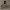 https://res.cloudinary.com/billionhands/image/upload/v1775199917/items/bu7uafgg8vzl9mjrjbt0.avif-3cover