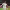 https://res.cloudinary.com/billionhands/image/upload/v1775200005/items/ag6gmky8yotdxqo9en4e.jpg-0cover