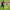 https://res.cloudinary.com/billionhands/image/upload/v1775200006/items/dsvpqatse2cljxbm0zrc.avif-0cover