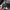 https://res.cloudinary.com/billionhands/image/upload/v1775200045/items/kz8q2ey3fgpteggfjdxk.jpg-0cover