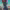 https://res.cloudinary.com/billionhands/image/upload/v1775200071/items/qcdoqutzqnucvmalnmol.jpg-1cover