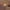 https://res.cloudinary.com/billionhands/image/upload/v1775200201/items/tfog1lyj9q8ou1zrjbwk.jpg-2cover