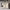 https://res.cloudinary.com/billionhands/image/upload/v1775200450/items/prsbkzqns2tkj8zsurbo.jpg-0cover