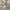 https://res.cloudinary.com/billionhands/image/upload/v1775200588/items/qd3s7ewmbozbnz5xej9n.jpg-1cover