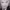 Oppenheimer's "I am become Death" Realization (Oppenheimer, 2023) cover