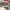 https://res.cloudinary.com/billionhands/image/upload/v1775200616/items/spfbndacdpk1fgef7iae.jpg-3cover