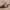 https://res.cloudinary.com/billionhands/image/upload/v1775200758/items/lqbapisearpvnopltwpb.webp-0cover