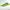 https://res.cloudinary.com/billionhands/image/upload/v1775200877/items/ddvpd0uwadnnq1zrsnw9.jpg-0cover