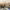 Penthouse in Palacio district (Madrid, Community of Madrid) cover