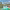 https://res.cloudinary.com/billionhands/image/upload/v1775200941/items/n0lbc1bkkqfjape3vwnk.jpg-1cover