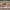 https://res.cloudinary.com/billionhands/image/upload/v1775200941/items/qnbfeyb4bf1t08uuzuvb.png-0cover