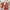 https://res.cloudinary.com/billionhands/image/upload/v1775201157/items/z1qmfpsvkgdyt4k3qixo.jpg-2cover