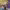 https://res.cloudinary.com/billionhands/image/upload/v1775201190/items/h8al2p06omhywgrco3wo.jpg-1cover