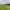 https://res.cloudinary.com/billionhands/image/upload/v1775201350/items/ajmftrfw1dhefjcytuw0.jpg-3cover