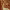 https://res.cloudinary.com/billionhands/image/upload/v1775201423/items/ezka3x1a0s4klpyfnaq7.jpg-3cover