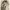 https://res.cloudinary.com/billionhands/image/upload/v1775201470/items/cbsv2htc90moxdjec27t.jpg-0cover