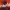 https://res.cloudinary.com/billionhands/image/upload/v1775201495/items/i39xsonitxqddscr9fhq.jpg-3cover