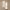 https://res.cloudinary.com/billionhands/image/upload/v1775201498/items/jjqp7mazqjk7bjzreoyu.webp-3cover