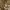https://res.cloudinary.com/billionhands/image/upload/v1775201647/items/y1daym8qwp4rpvdlm1om.webp-3cover