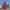https://res.cloudinary.com/billionhands/image/upload/v1775201652/items/v6ylpesngkos7ys6rtbz.png-3cover
