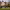 Culdees Castle Estate (Perth and Kinross, Scotland) cover