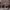 https://res.cloudinary.com/billionhands/image/upload/v1775201655/items/oxbtjkfcrfzmif9mbqgi.jpg-3cover