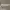 https://res.cloudinary.com/billionhands/image/upload/v1775201765/items/u3stflrw4fjmm2pdhsva.jpg-2cover