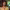 https://res.cloudinary.com/billionhands/image/upload/v1775201851/items/frynasvjq0yqa2edum1c.webp-2cover