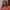 https://res.cloudinary.com/billionhands/image/upload/v1775201901/items/j7enttoqxx058zlwgwpd.webp-1cover