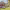 https://res.cloudinary.com/billionhands/image/upload/v1775201904/items/icbuqnxcl83ossrudtpu.avif-0cover