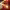 https://res.cloudinary.com/billionhands/image/upload/v1775201962/items/bfispe5t0xp8ixixtvu3.webp-2cover