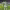 Casemiro (Real Madrid) cover