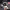https://res.cloudinary.com/billionhands/image/upload/v1775201974/items/hzsvjgqbgvwp0xn6et3v.webp-3cover
