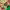 https://res.cloudinary.com/billionhands/image/upload/v1775202120/items/gzst55gwhhyornvfqck1.webp-3cover