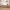 Povison Anton Solid Wood Entryway Bench cover