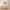 https://res.cloudinary.com/billionhands/image/upload/v1775202147/items/vagyi8mpzjbbmthhf71j.webp-3cover