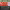 https://res.cloudinary.com/billionhands/image/upload/v1775202163/items/a4szejl6mqckmserwhkc.webp-1cover