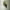 https://res.cloudinary.com/billionhands/image/upload/v1775202233/items/pocpf4jqmgsqs8ra9vad.jpg-2cover