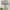 https://res.cloudinary.com/billionhands/image/upload/v1775202338/items/brbkkdxbo6bbh7utt63t.webp-2cover