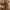 https://res.cloudinary.com/billionhands/image/upload/v1775202355/items/vtelwc36ptlsar1sbauh.avif-2cover