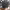 https://res.cloudinary.com/billionhands/image/upload/v1775202355/items/vvsin45ov2fopxkkaxk3.jpg-3cover