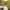 https://res.cloudinary.com/billionhands/image/upload/v1775202423/items/wivrfev7olhwn7m3ruoh.jpg-1cover