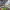 https://res.cloudinary.com/billionhands/image/upload/v1775202481/items/go2sglgpyscspnikwg8l.jpg-2cover