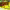 https://res.cloudinary.com/billionhands/image/upload/v1775202485/items/xw5kj1gtbjvu3o9puuoy.jpg-1cover