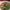 https://res.cloudinary.com/billionhands/image/upload/v1775202781/items/rwwjhifpi0mhkvjx6uy9.jpg-2cover