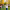 https://res.cloudinary.com/billionhands/image/upload/v1775202891/items/dbatihzmqeacjzpv87yt.jpg-0cover