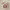 https://res.cloudinary.com/billionhands/image/upload/v1775203195/items/u5pzya8dt3sihfgy2jph.jpg-0cover